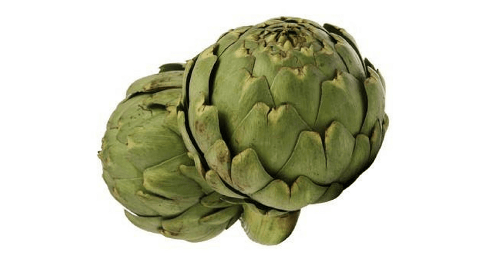 Artičoka – Cynara scolymus L., zdravilna rastlina