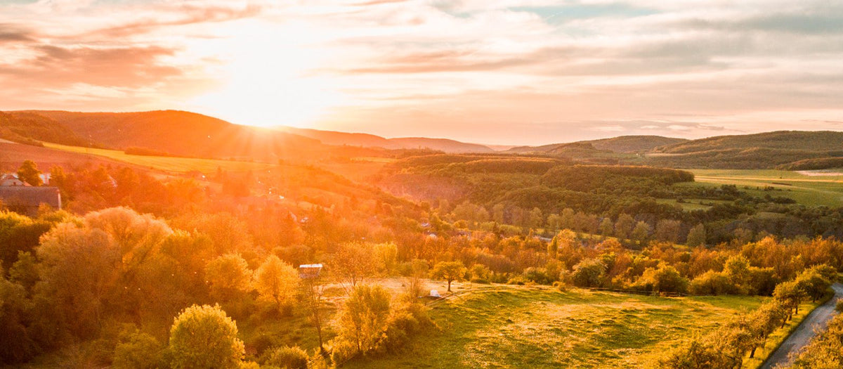 Kako Soria Natural skrbi za okolje?