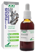 FUCUS xxi morska alga hujšanje jod ščitnica soria natural