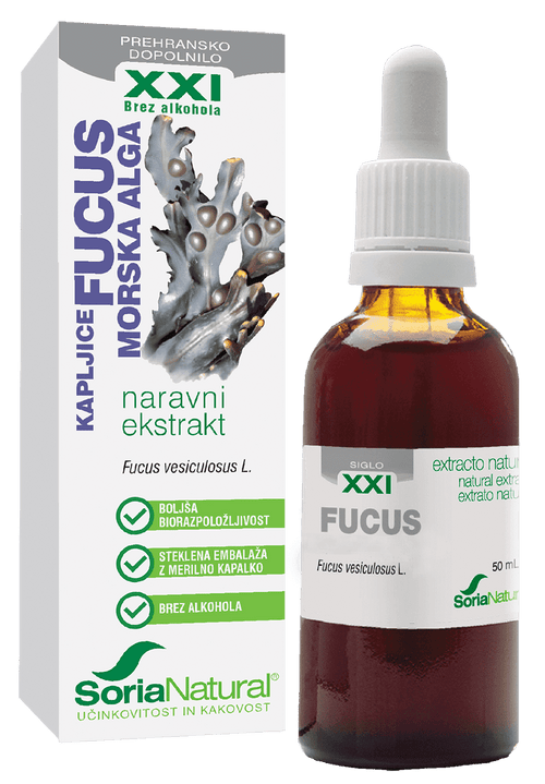 FUCUS xxi morska alga hujšanje jod ščitnica soria natural