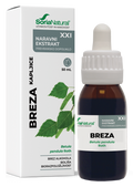 Breza