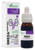 Breza Kompleks
